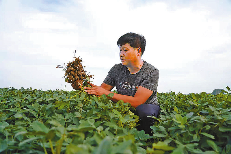 黄磊：厚植爱农情怀 练就兴农本领