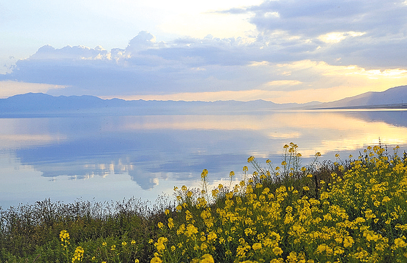 賽里木湖夏日美景