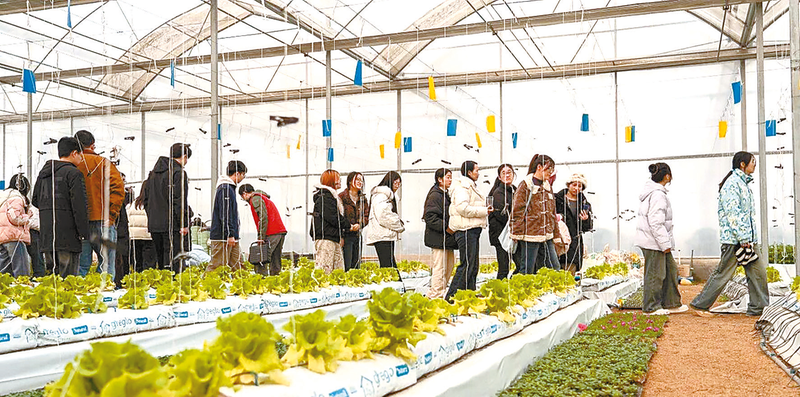 “田間課堂”收獲多