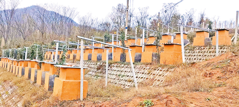 三代人接力的“甜蜜事业”