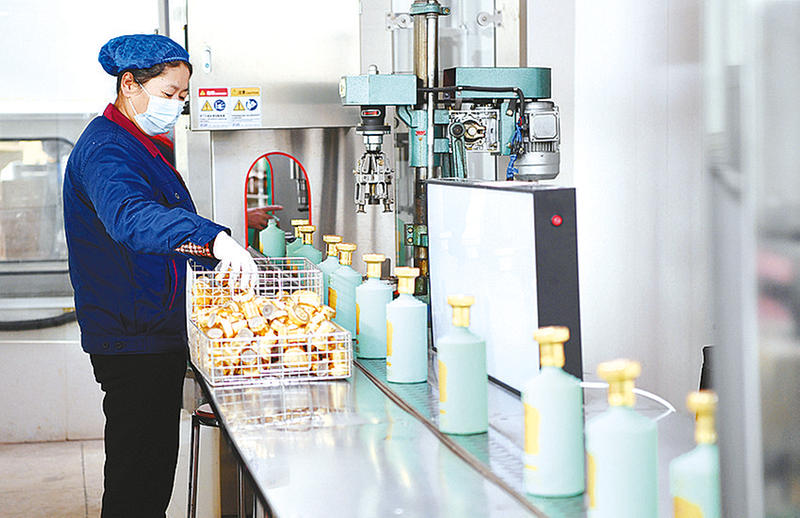 “棠河”出山记 