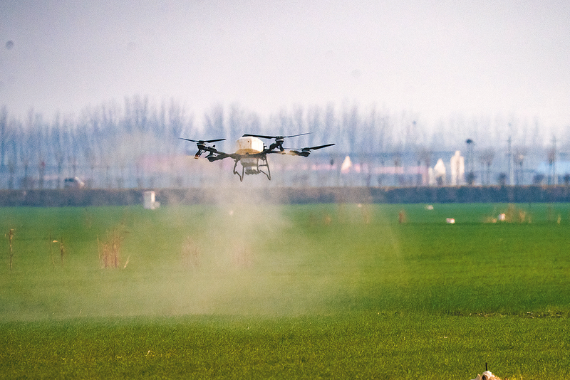 春管蓄勢足 夏糧穩(wěn)根基  