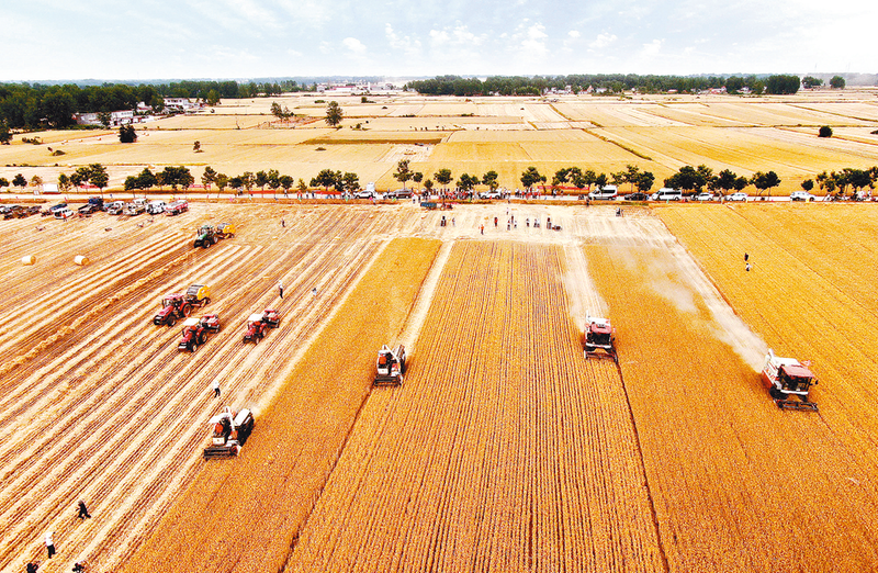 田野上的追光者  