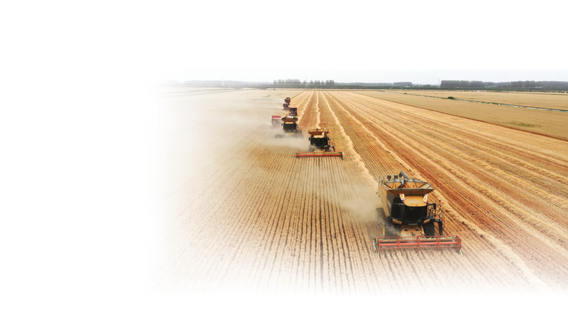 中原粮仓 农机潮涌——全国农机展何以5年扎根驻马店 