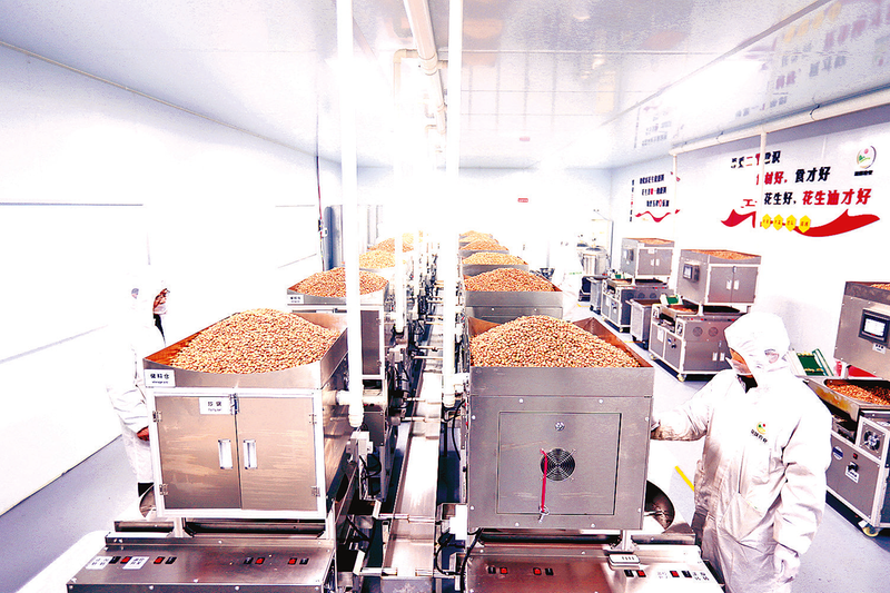 品味农业花生油香飘万家