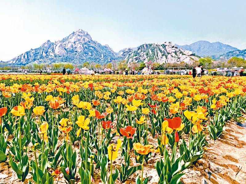 踏青賞花 樂(lè)享春光