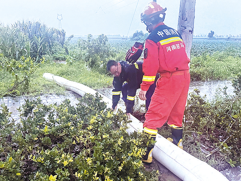 西平县：洪河奔涌砺初心 风雨同舟护安澜
